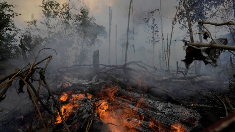 Braziliaanse regering verbiedt tijdelijk platbranden bos voor landbouw