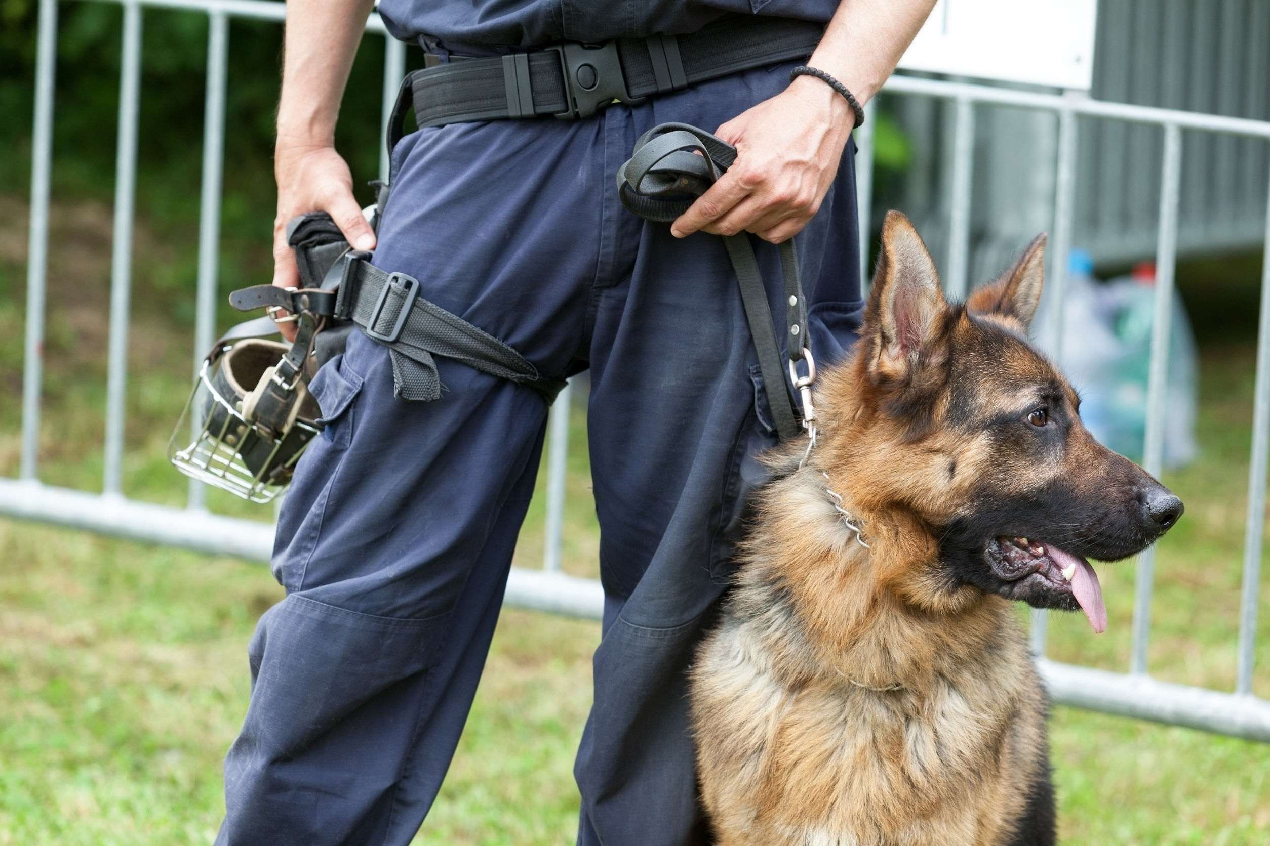 Veertig pubers belagen agenten in Moergestel met ‘extreem geweld’ – Wel.nl