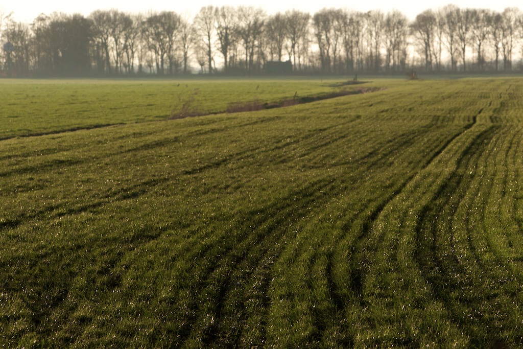 Stikstof hartstikke goed voor ‘de’ natuur… – Interessante Tijden