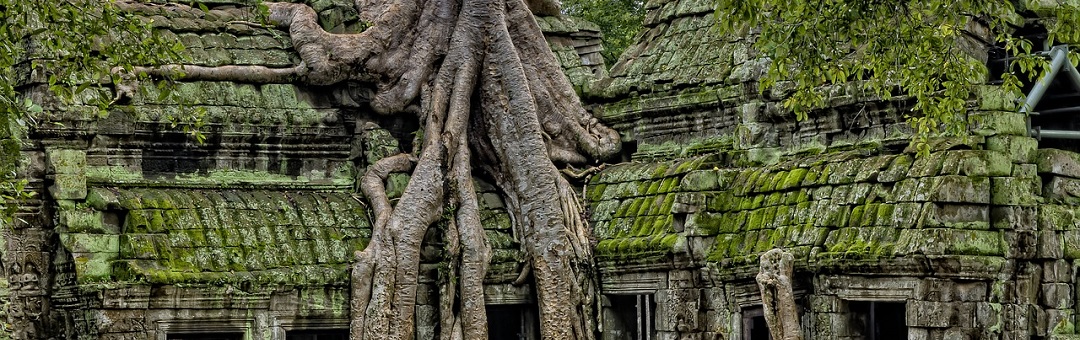 Een gigantisch stedelijk netwerk in niemandsland: mythische 'verloren stad van Goden' ontdekt in Cambodjaanse jungle