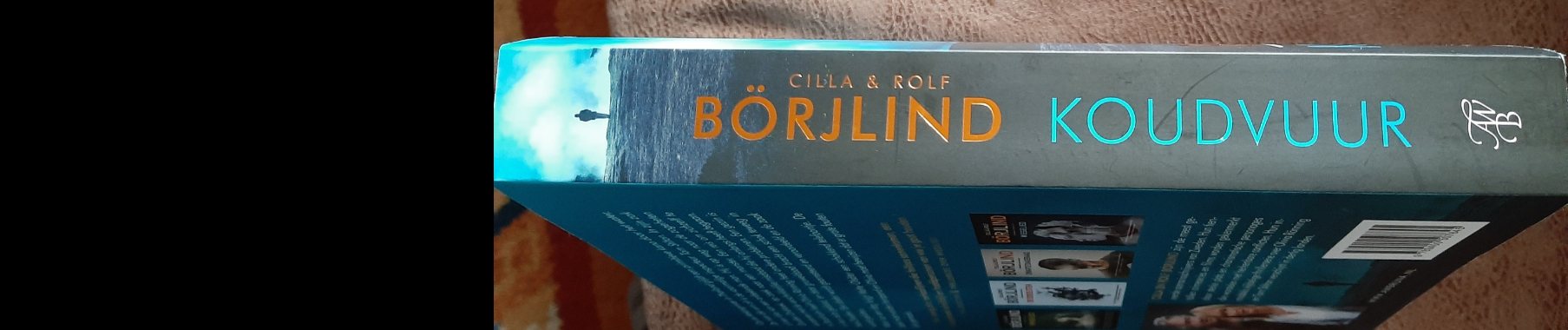 Boekrecensie: Koudvuur, Cilla en Rolf Börjlind. | cillaenrolfborjlind | koudvuur | ronningenstiltonthriller | awbruna | uitgeverijawbruna | borjlind | scandinavischethriller