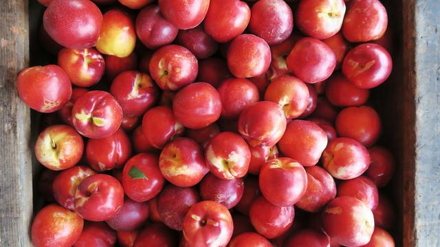 'Vaak schadelijk hormoongif op groenten en fruit in Nederlandse winkels' | NU - Het laatste nieuws het eerst op NU.nl