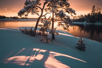 Mikko Lagerstedt – From Finland with Love - Thalmaray.co