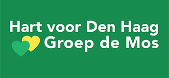 Hart voor Den Haag: Burgemeester Remkes gaat boekje onreglementair te buiten - Hart voor Den Haag