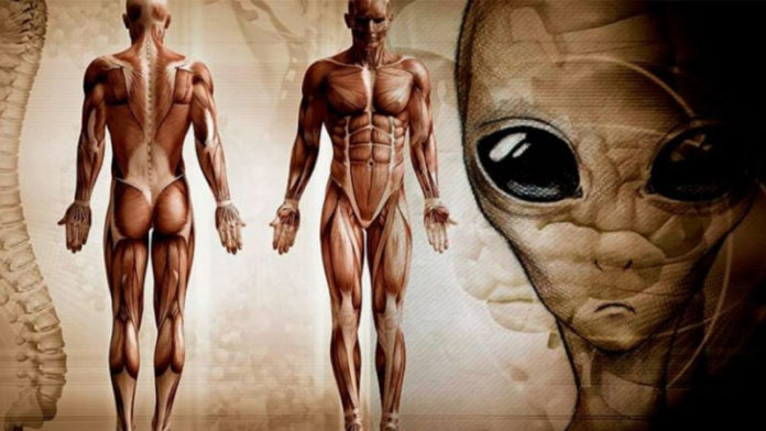 Apollo Astronaut Claims Aliens Created The Human Race - Mysterious Signal