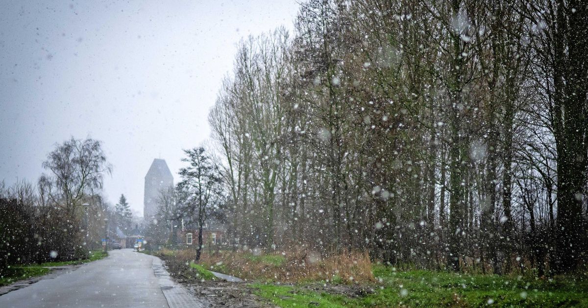 Winterse buien met natte sneeuw op komst | Binnenland | Telegraaf.nl