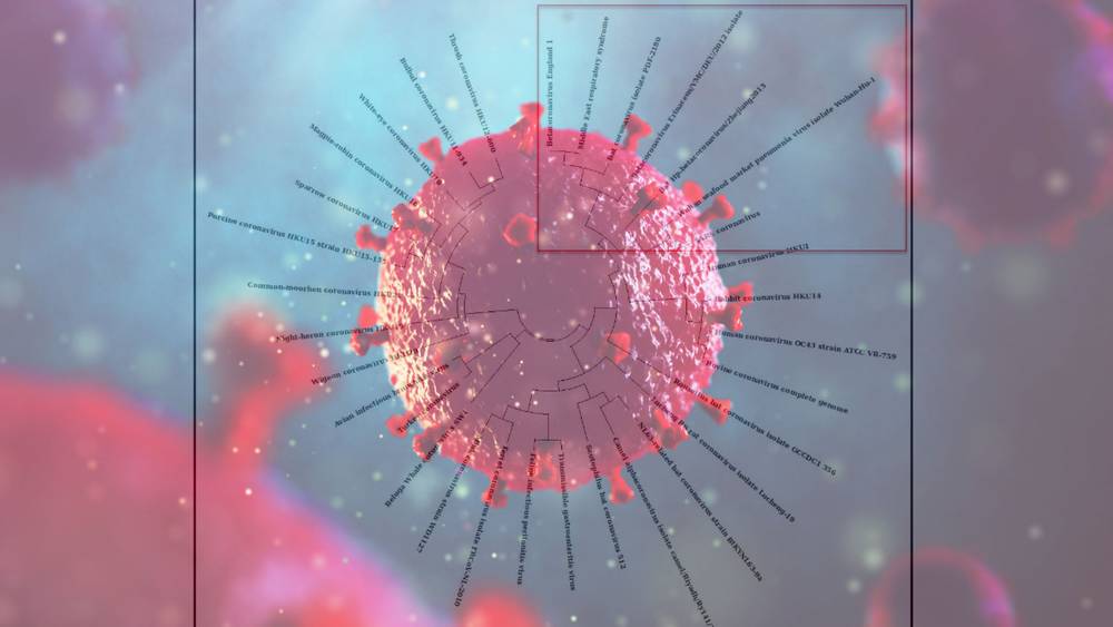 MSM Tries To Suppress Evidence That HIV Delivery System Is Embedded In Coronavirus