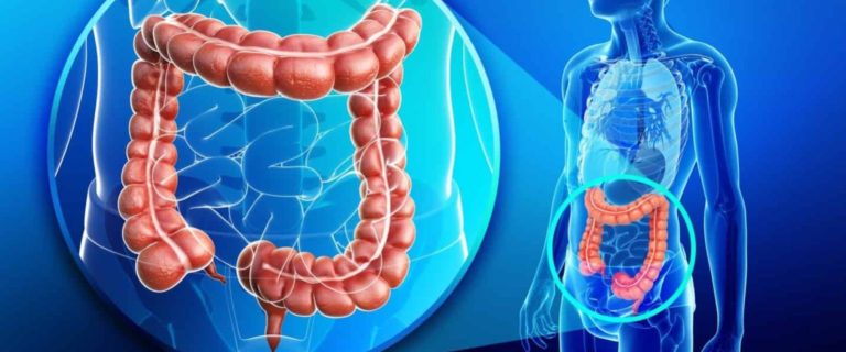 Wat is een biofilm? En hoe kom je ervan af.