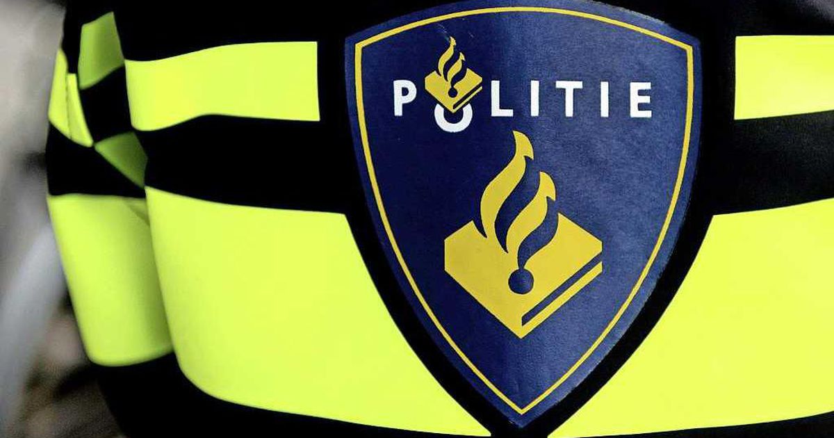 Tientallen personen met elkaar op de vuist in Montfoort | Binnenland | Telegraaf.nl