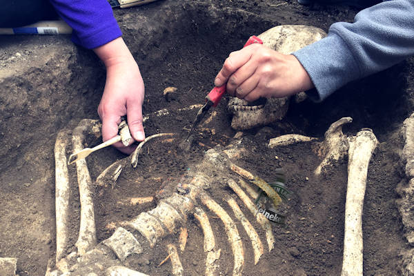 Archeologen vinden allereerste André Hazes - Nieuwspaal