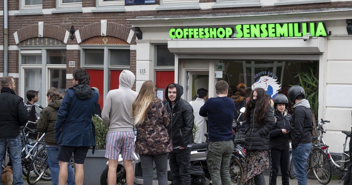 Sluiting coffeeshops zorgt voor een run op illegale wiet