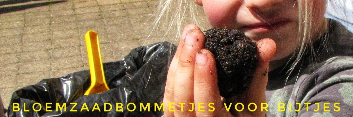 Bloemzaad bommetjes maken voor de Bijtjes » Crea met kids