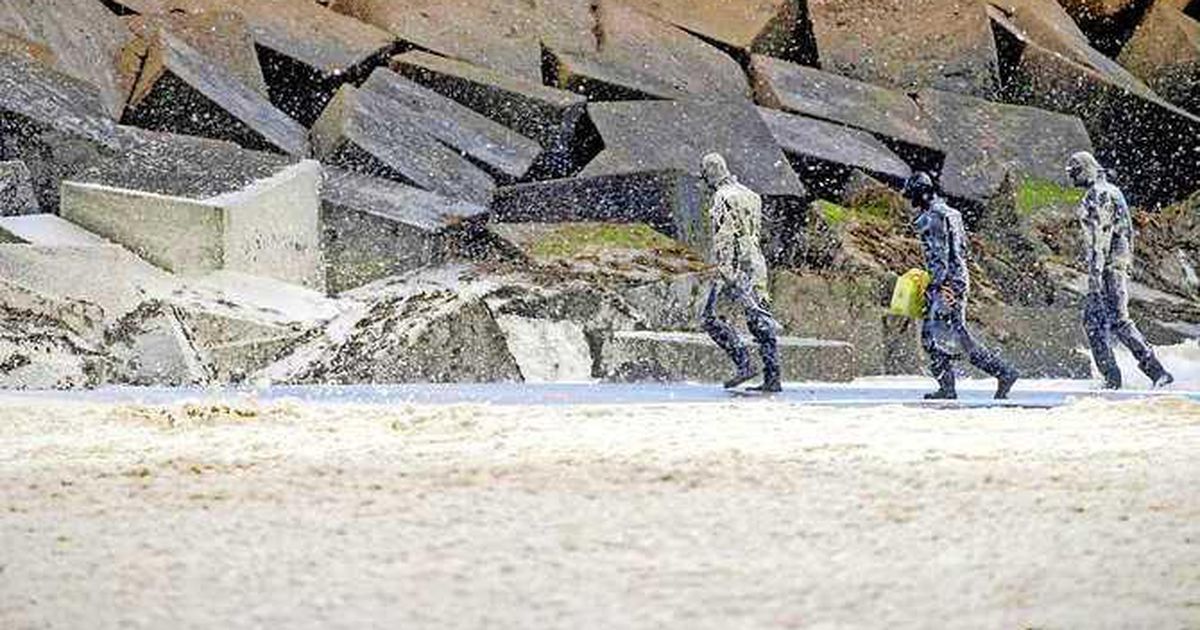 Grote zoekactie naar vermiste vijfde surfer | Binnenland | Telegraaf.nl