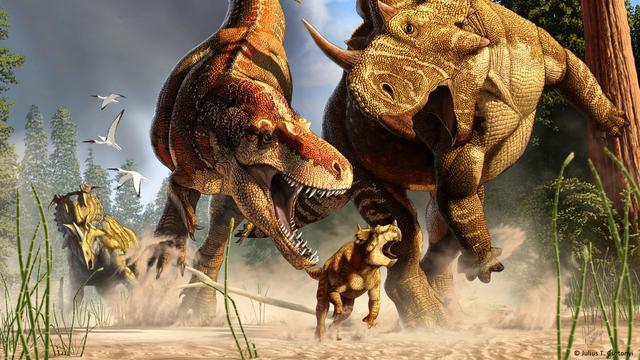 Tyrannosaurus Rex was een duurloper, geen sprinter