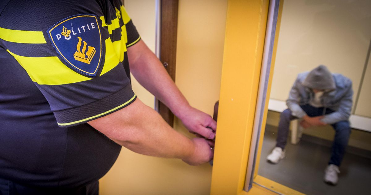 Man opgepakt na doorrijden bij aanrijding 6-jarig meisje | Binnenland | Telegraaf.nl