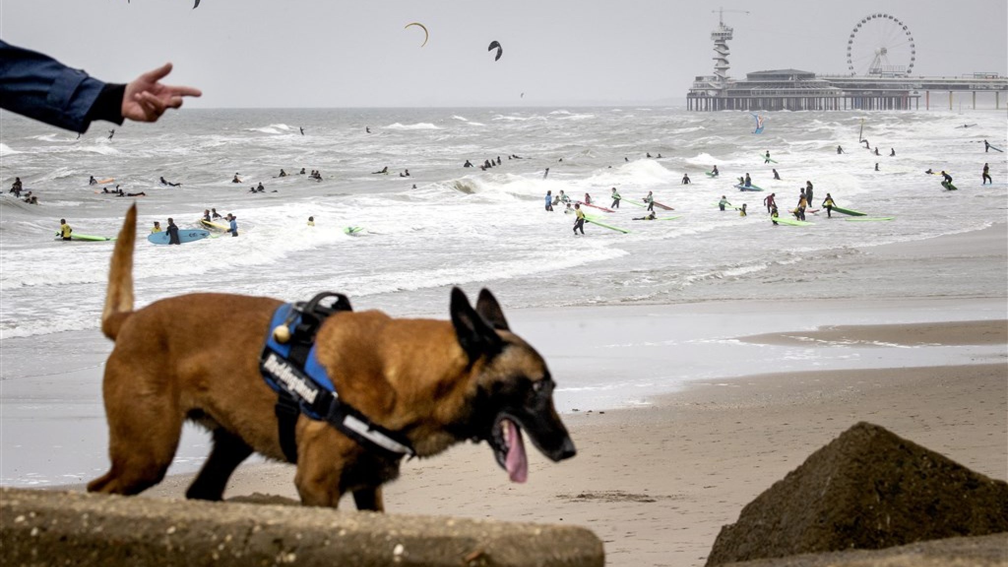 Zoekactie naar vermiste surfer Mathijs gestaakt | RTL Nieuws