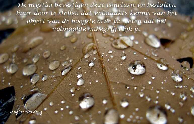 De Duizend Quotes -0376