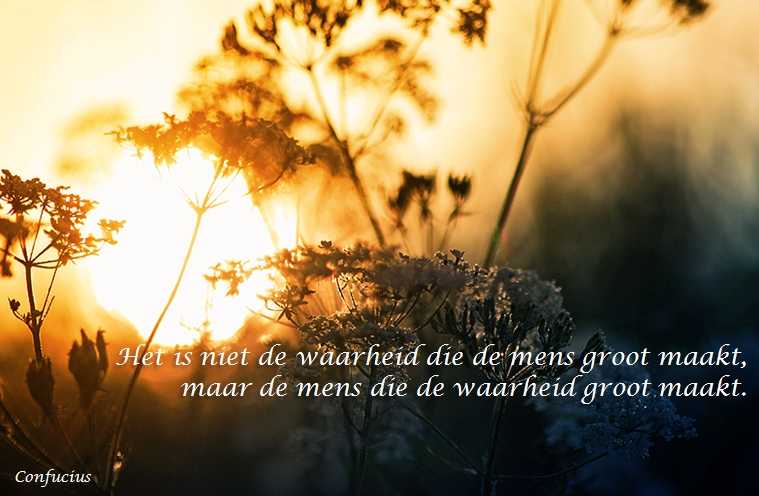 De Duizend Quotes - 0372