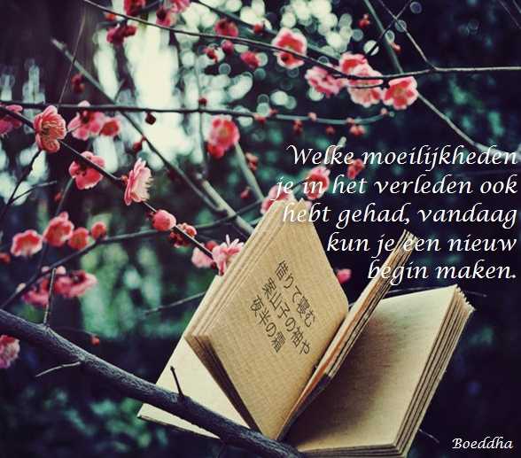 De Duizend Quotes - 0370