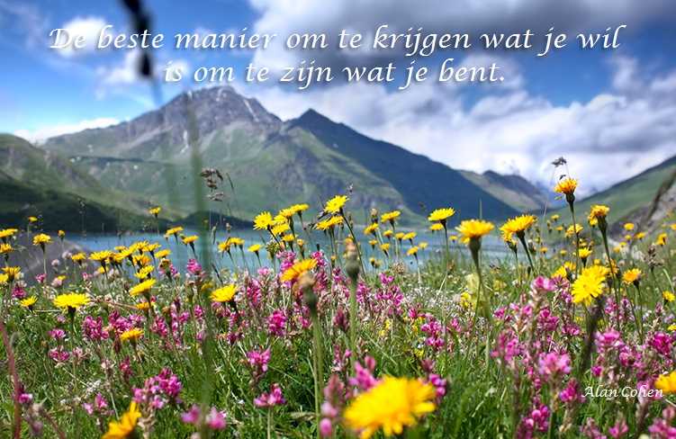 De Duizend Quotes - 0363