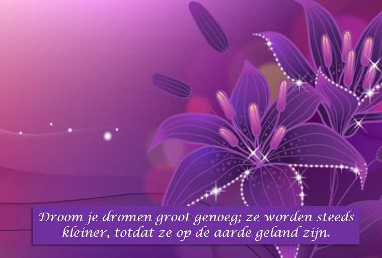 De Duizend Quotes - 0408