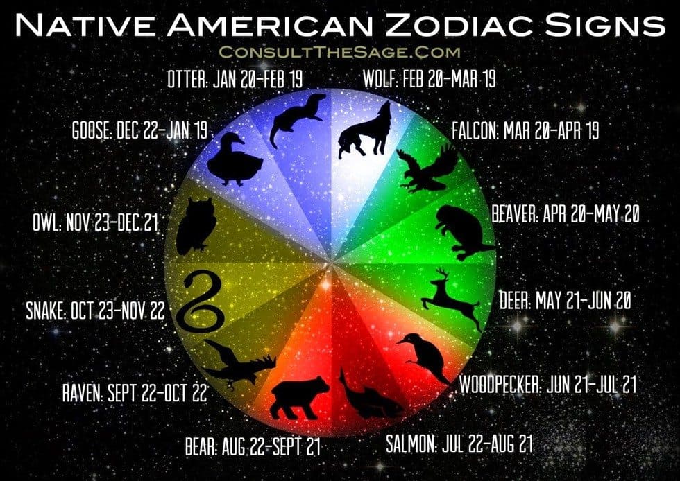 What Is Your Animal Sign? That Guides You Through Life Based