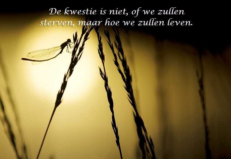 De Duizend Quotes - 0381