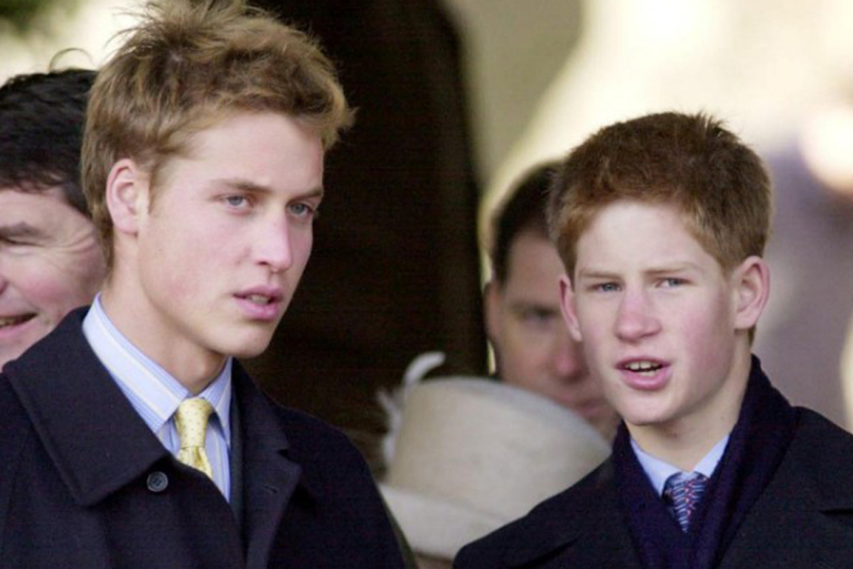 Princes William and Harry may have visited paedo billionaire Jeffrey Epstein’s mansion when they were children, court documents suggest – The Irish Sun