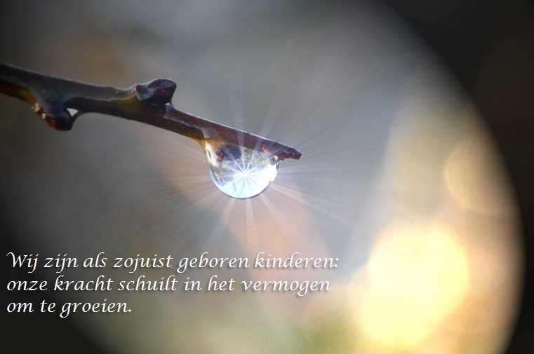 De Duizend Quotes - 0387