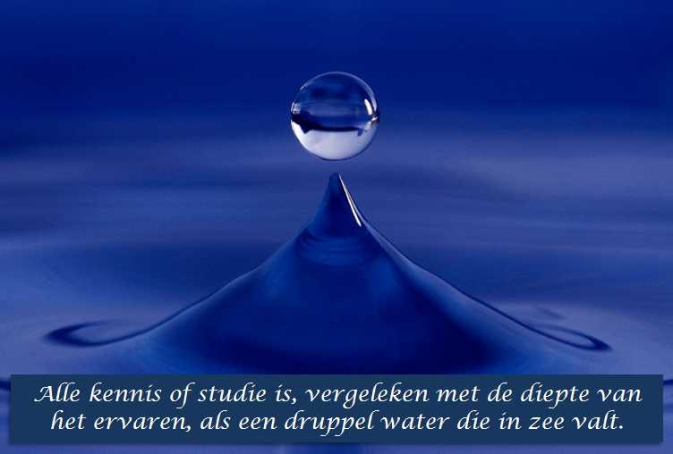 De Duizend Quotes - 0409