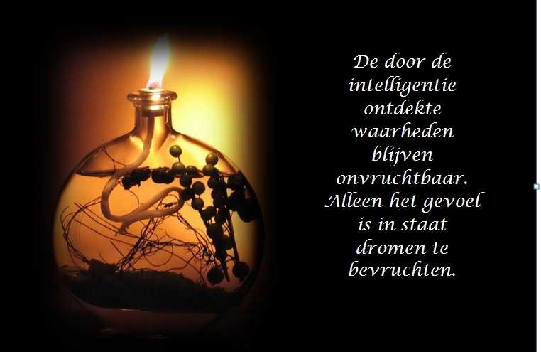 De Duizend Quotes - 0415