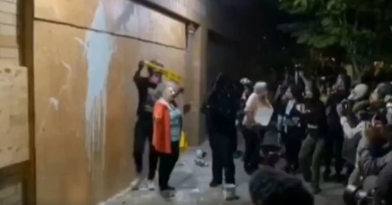 Video: Portland Rioters Throw Paint on Elderly Woman's Face for Defending Police Station - The Daily Clown