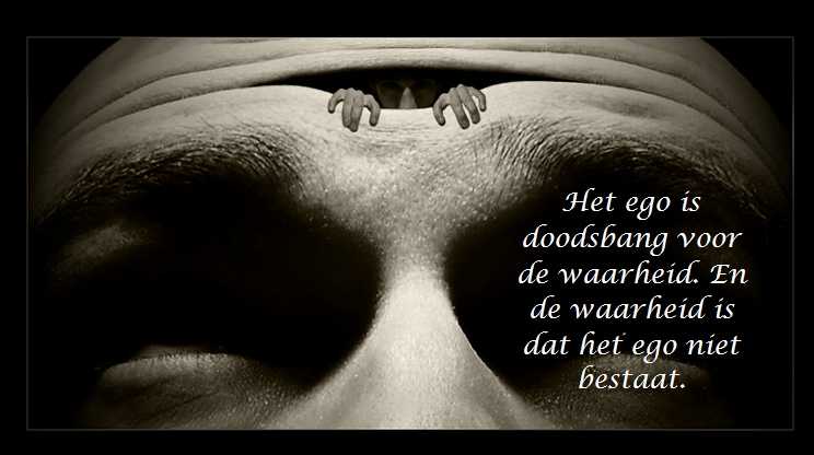 De Duizend Quotes - 0416