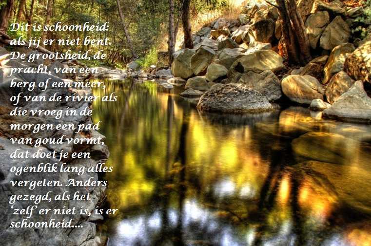 De Duizend Quotes - 0423