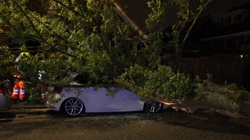 Zware windstoten van storm Francis leiden tot schade