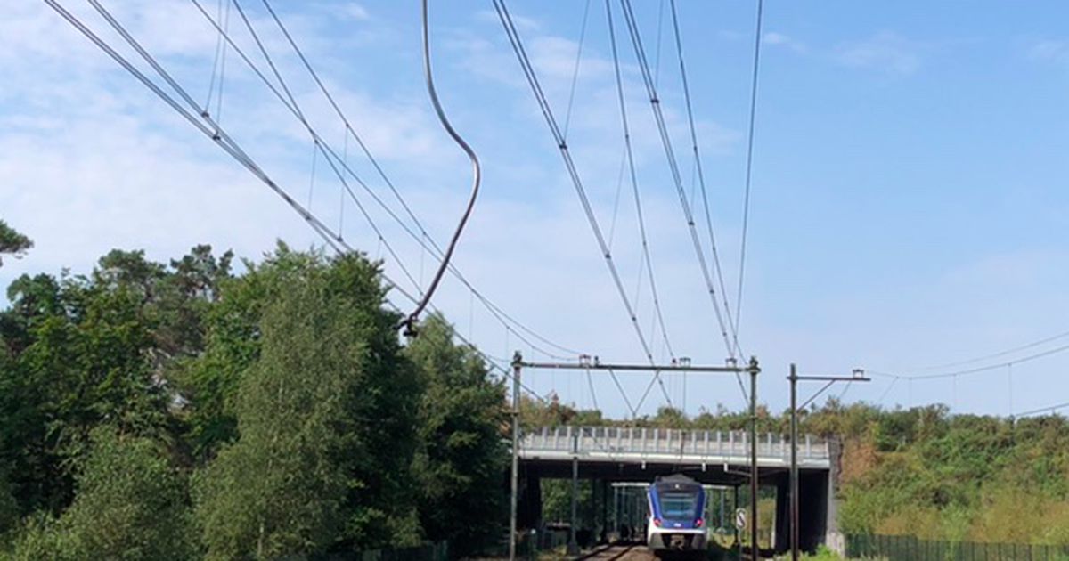 Reizigers zitten meer dan uur in gestrande trein zonder airco | Binnenland | Telegraaf.nl