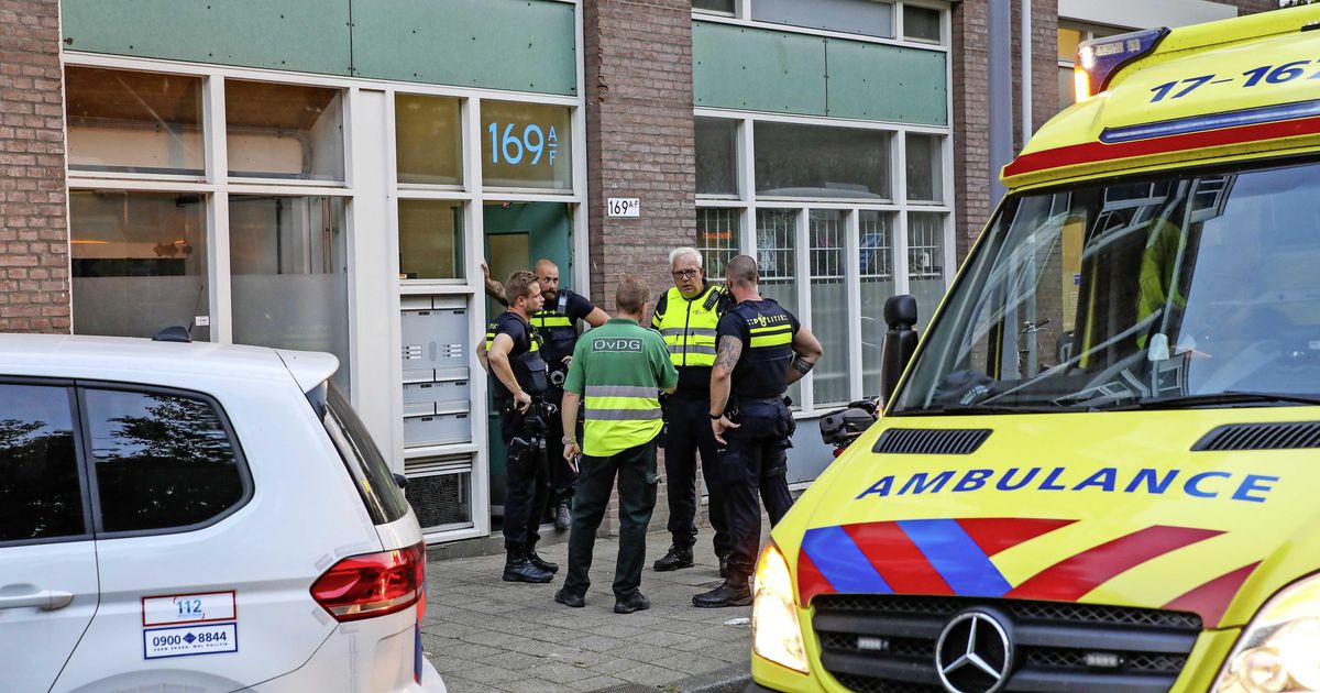 Meisje (15) dood bij steekpartij Rotterdam, 16-jarig meisje opgepakt | Binnenland | Telegraaf.nl