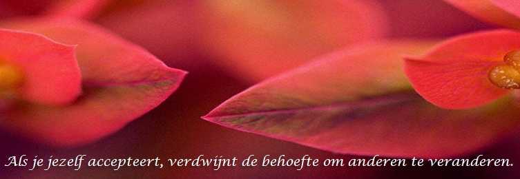 De Duizend Quotes -0433