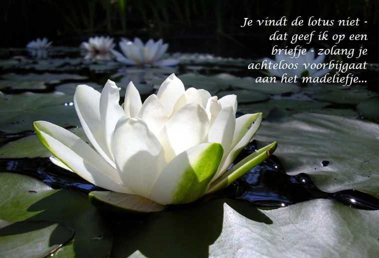 De Duizend Quotes - 0420