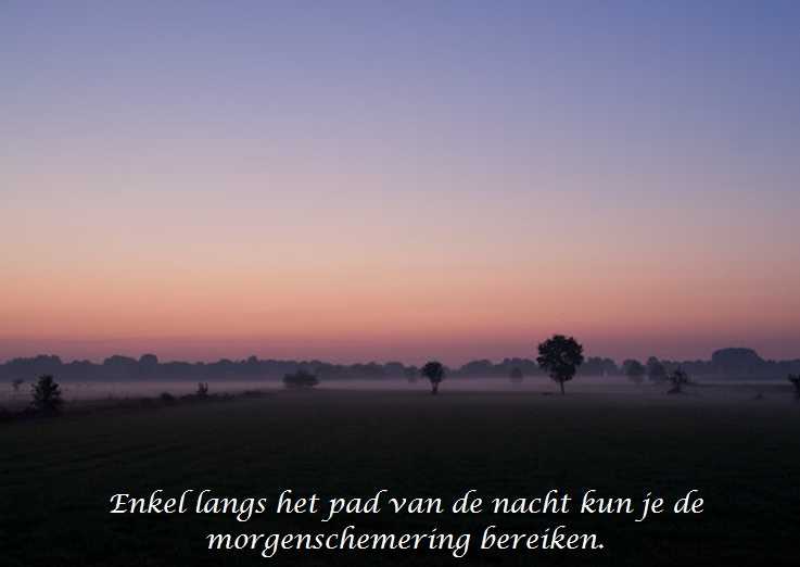 De Duizend Quotes - 0411