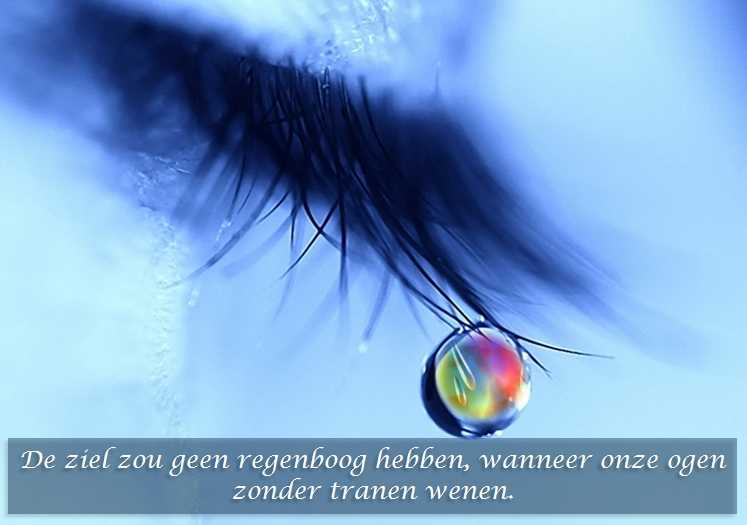 De Duizend Quotes - 0410