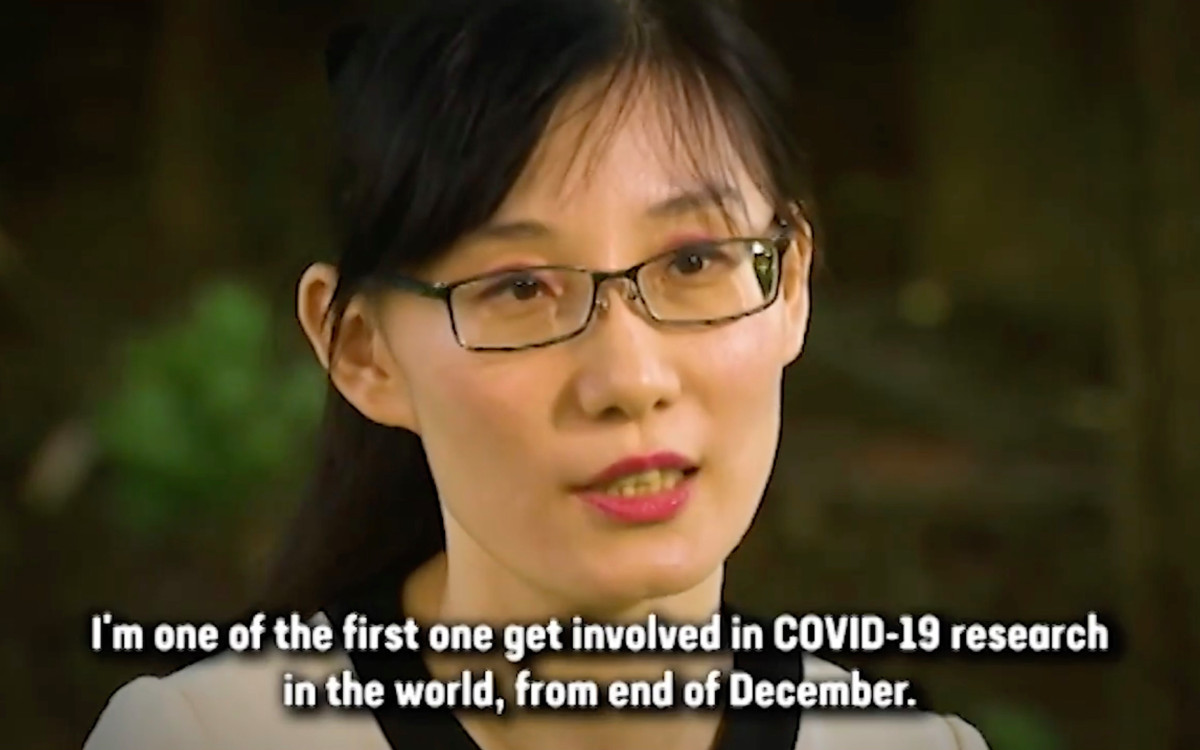 Chinese virologist in hiding after accusing Beijing of coronavirus cover-up