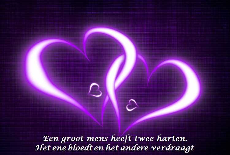 De Duizend Quotes - 0437