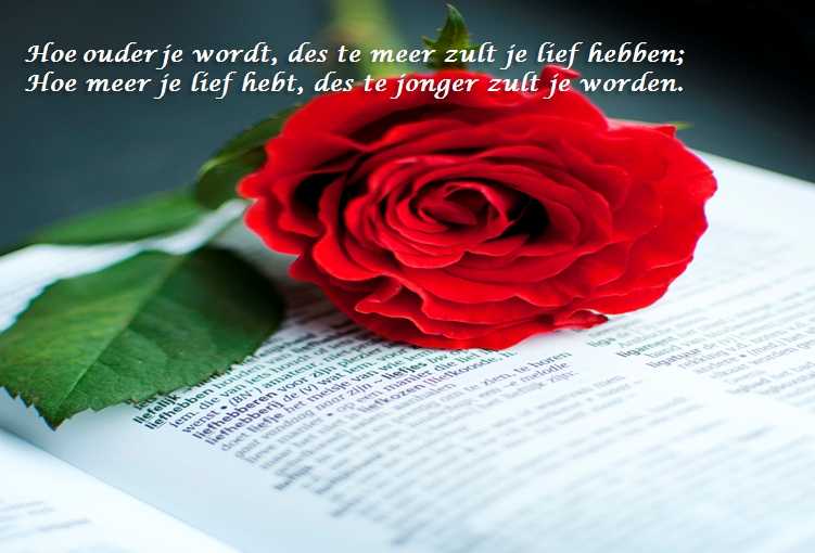 De Duizend Quotes - 0452