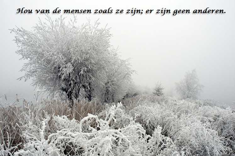 De Duizend Quotes - 0453