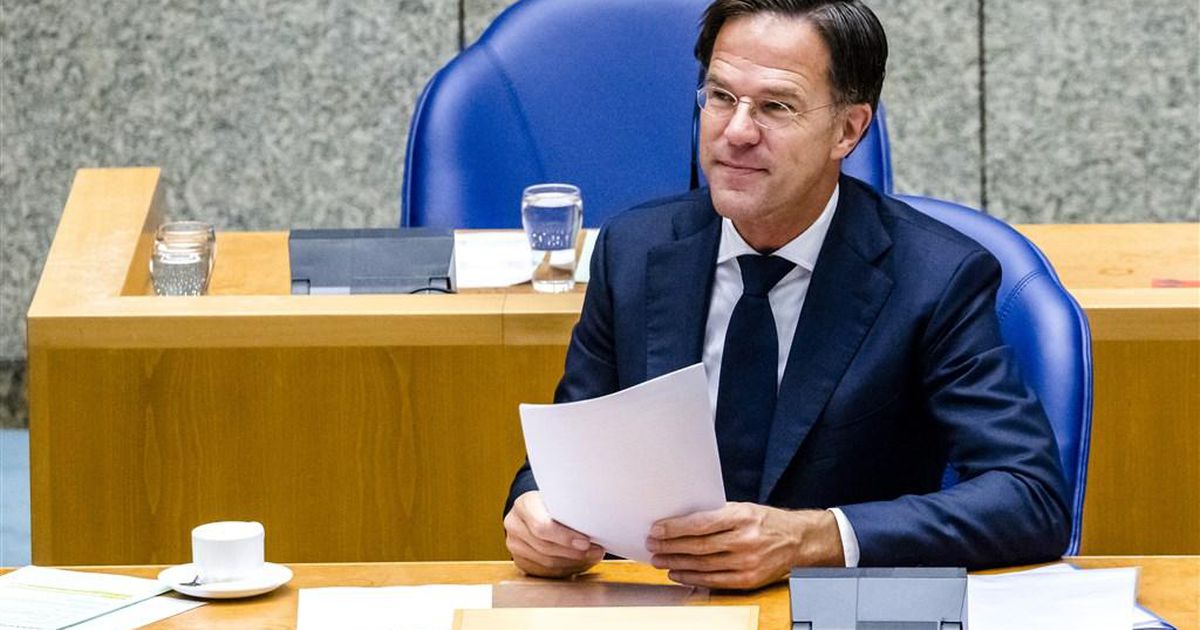 Nederland heeft Mark Rutte nodig | Wat U Zegt | Telegraaf.nl