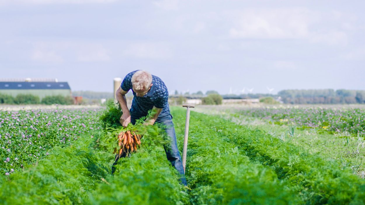 Conclusies belangrijk onderzoek naar biologisch eten afgezwakt onder druk van onderzoeksinstituut TNO - Zembla - BNNVARA