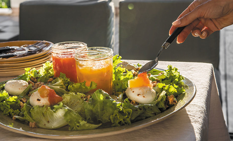 Licht verteerbaar eten geeft meer energie, maar wat met je overgewicht?