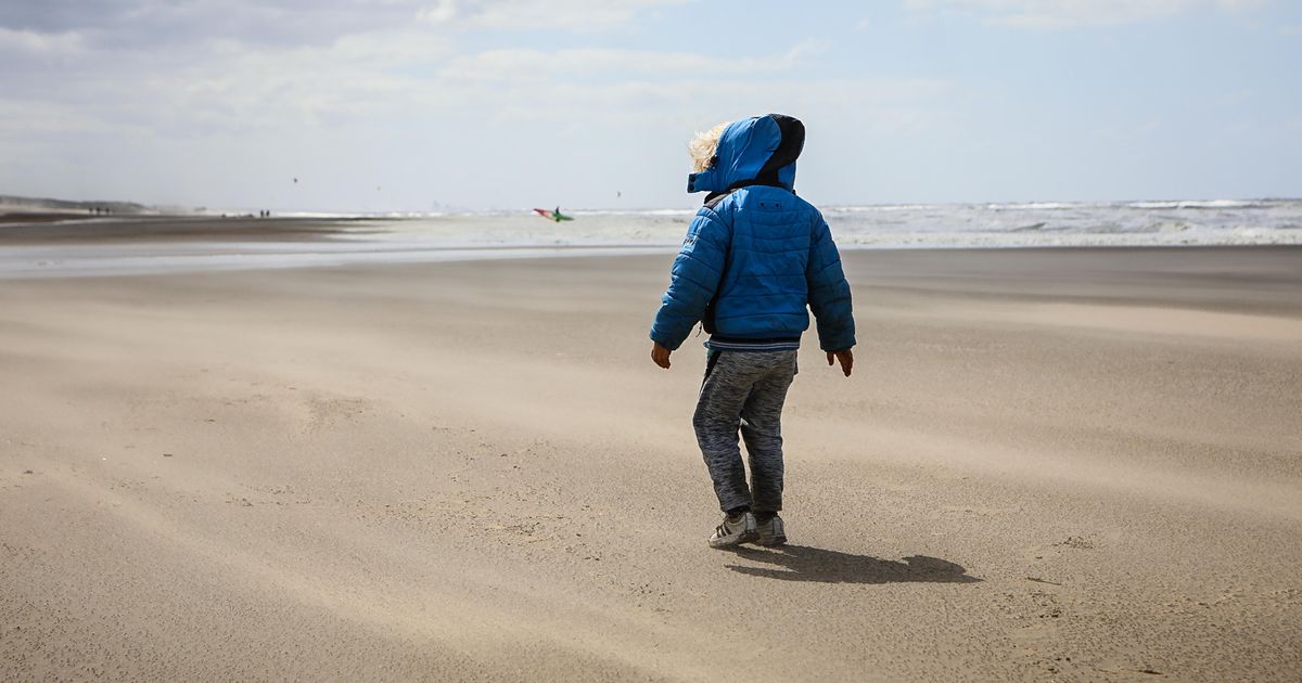 Kou in aantocht: ’We gaan nu merken dat het herfst is’ | Binnenland | Telegraaf.nl