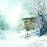 Winter Wonder Land Profile Picture